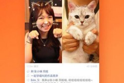 消消乐吃鸡手游 